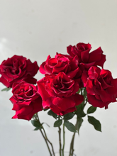 Load image into Gallery viewer, Peel-Back Roses
