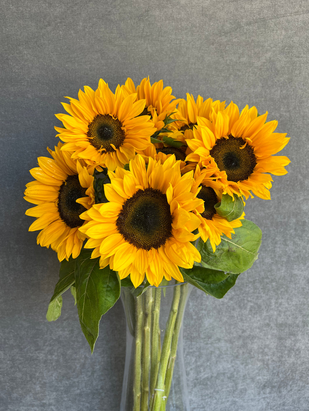 Fresh Cut Sunflowers